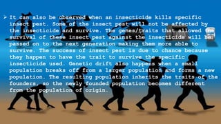  It can also be observed when an insecticide kills specific
insect pest. Some of the insect pest will not be affected by
the insecticide and survive. The genes/traits that allowed the
survival of these insect pest against the insecticide will be
passed on to the next generation making them more able to
survive. The success of insect pest is due to chance because
they happen to have the trait to survive the specific
insecticide used. Genetic drift also happens when a small
population breaks off from a larger population and forms a new
population. The resulting population inherits the traits of the
founders, so the newly founded population becomes different
from the population of origin.
 
