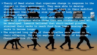 Theory of Need states that organisms change in response to the
changes in their environment. They were able to develop
characteristics necessary for them to adapt in their modified
environment that leads to size increase of body parts or
function changes
Theory of Use and Disuse which shows that organs that are not
used will disappear while those that are constantly used will
be developed. Lamarck believed that short-necked giraffes
strained their necks to reach food from trees causing their
necks to become longer.
 The acquired long necks of these giraffes were passed on to
their offspring. This also explains the Theory of Acquired
Characteristics (Traits).
 