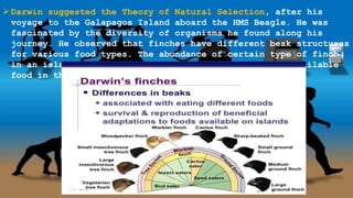 Darwin suggested the Theory of Natural Selection, after his
voyage to the Galapagos Island aboard the HMS Beagle. He was
fascinated by the diversity of organisms he found along his
journey. He observed that finches have different beak structures
for various food types. The abundance of certain type of finch
in an island was somehow associated with the type of available
food in their habitat.
 
