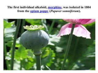 The first individual alkaloid, morphine, was isolated in 1804
from the opium poppy (Papaver somniferum).
 