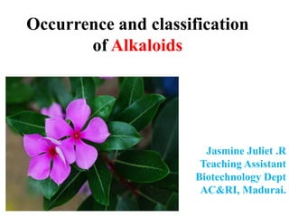 Occurrence and classification
of Alkaloids
Jasmine Juliet .R
Teaching Assistant
Biotechnology Dept
AC&RI, Madurai.
 