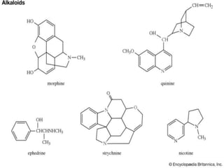 Occurrence and classification of alkaloids