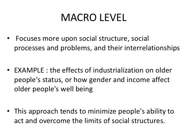 macro level and micro level in sociology