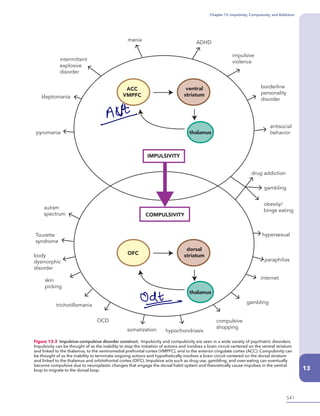 Chapter 13: Impulsivity, Compulsivity, and Addiction
13
ACC
VMPFC
thalamus
thalamus
ventral
striatum
OFC
IMPULSIVITY
impulsive
violence
ADHD
mania
intermittent
explosive
disorder
kleptomania
pyromania
autism
spectrum
Tourette
syndrome
body
dysmorphic
disorder
skin
picking
trichotillomania
OCD
somatization
gambling
internet
paraphilias
hypersexual
drug addiction
gambling
obesity/
binge eating
compulsive
shopping
hypochondriasis
borderline
personality
disorder
antisocial
behavior
COMPULSIVITY
dorsal
striatum
Figure 13-3 Impulsive–compulsive disorder construct. Impulsivity and compulsivity are seen in a wide variety of psychiatric disorders.
Impulsivity can be thought of as the inability to stop the initiation of actions and involves a brain circuit centered on the ventral striatum
and linked to the thalamus, to the ventromedial prefrontal cortex (VMPFC), and to the anterior cingulate cortex (ACC). Compulsivity can
be thought of as the inability to terminate ongoing actions and hypothetically involves a brain circuit centered on the dorsal striatum
and linked to the thalamus and orbitofrontal cortex (OFC). Impulsive acts such as drug use, gambling, and over-eating can eventually
become compulsive due to neuroplastic changes that engage the dorsal habit system and theoretically cause impulses in the ventral
loop to migrate to the dorsal loop.
541
t
Odt
-
-
 