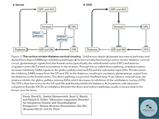 Pauls, David L., Amitai Abramovitch, Scott L. Rauch,
and Daniel A. Geller. "Obsessive–compulsive Disorder:
An Integrative Genetic and Neurobiological
Perspective." Nature Reviews Neuroscience Nat Rev
Neurosci (2014): 410-24. Print.
 
