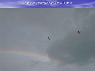 Texto e apresentação por Renato Cardoso
 