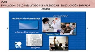 OCDE
EVALUACIÓN DE LOS RESULTADOS DE APRENDIZAJE EN EDLICACIÓN SUPERIOR
(AHELO)
 