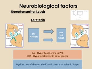 Neurobiological factors
         Neurotransmitter Levels

                             Serotonin



                                                         Low
                               CSF
                                                         5HT
                            Platelets
                                                        5HIAA

“normal.jpg”                                                        “ocd.jpg”




                             DA – Hyper functioning in PFC
                         5HT – Hypo functioning in basal ganglia


               Dysfunction of the so-called 'cortico-striato-thalamic' loops
 