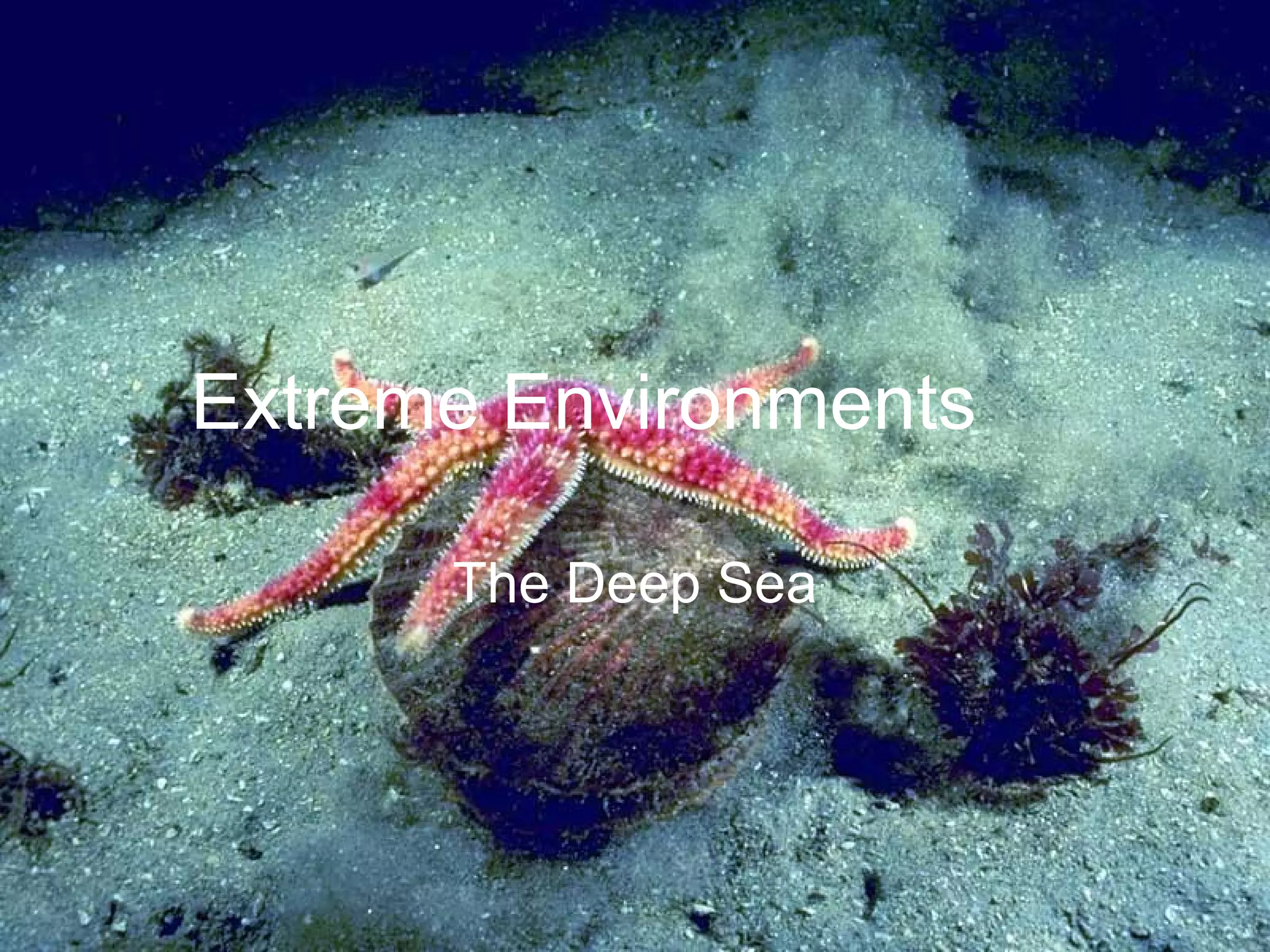 Extreme Environments The Deep Sea