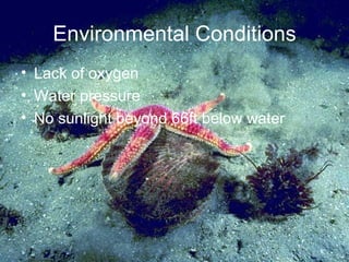 Environmental Conditions Lack of oxygen Water pressure No sunlight beyond 66ft below water
