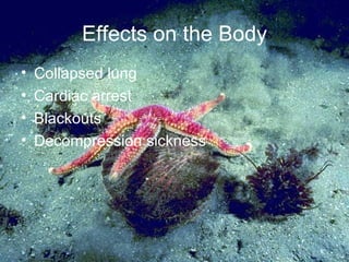 Effects on the Body Collapsed lung Cardiac arrest Blackouts Decompression sickness