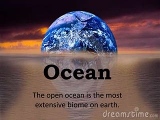 Ocean
The open ocean is the most
 extensive biome on earth.
 