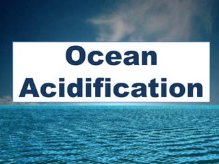 Ocean
Acidification
 