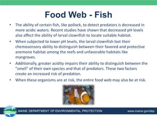 Ocean-Acidification-PP.pptx