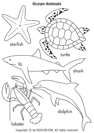 Ocean Animals




starfish

                                     turtle


                                               shark




                                   dolphin

lobster
   Copyright c by KIZCLUB.COM. All rights reserved.