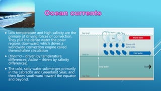  Low temperature and high salinity are the
primary of driving forces of convection.
They pull the dense water the polar
regions downward, which drives a
worldwide convection engine called
thermohaline circulation
 (thermo – driven by temperature
differences; haline – driven by salinity
differences).
 The cold, salty water submerges primarily
in the Labrador and Greenland Seas, and
then flows southward toward the equator
and beyond.
 