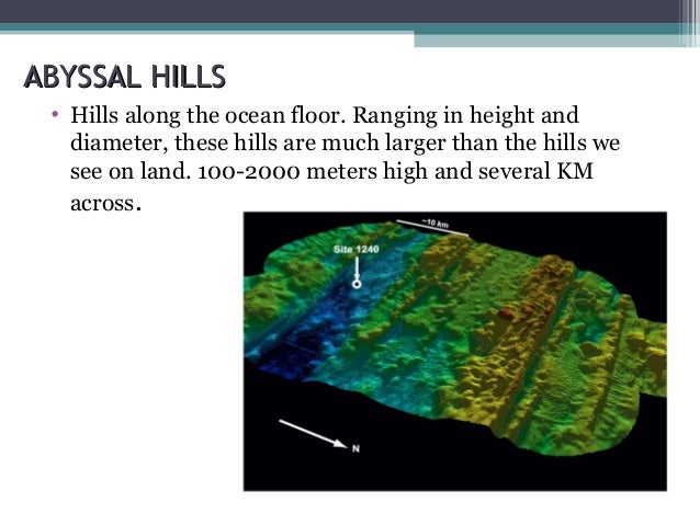 Ocean Floor Topography