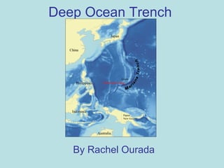Deep Ocean Trench By Rachel Ourada 