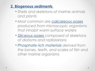 Ocean topography | PPT