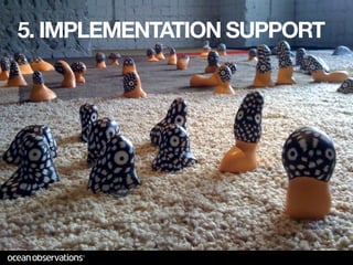 5. IMPLEMENTATION SUPPORT
 