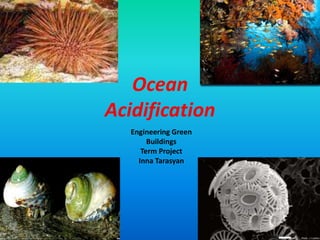 Ocean
Acidification
Engineering Green
Buildings
Term Project
Inna Tarasyan
 