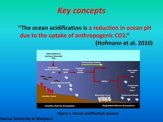 Key concepts
“The ocean acidification is a reduction in ocean pH
due to the uptake of anthropogenic CO2.”
(Hofmann et al. 2010)
Figure 1. Ocean acidification process
Source: University of Maryland
 