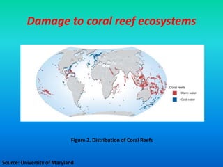 Damage to coral reef ecosystems
Source: University of Maryland
Figure 2. Distribution of Coral Reefs
 