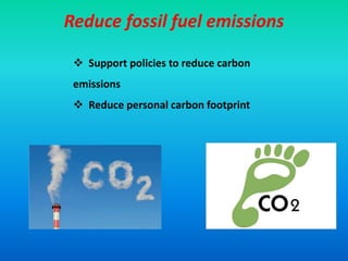Reduce fossil fuel emissions
 Support policies to reduce carbon
emissions
 Reduce personal carbon footprint
 