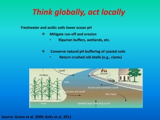 Think globally, act locally
Freshwater and acidic soils lower ocean pH
 Mitigate run-off and erosion
• Riparian buffers, wetlands, etc.
 Conserve natural pH buffering of coastal soils
• Return crushed old shells (e.g., clams)
Source: Green et al. 2009; Kelly et al. 2011
 