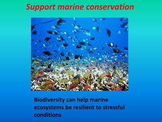 Support marine conservation
Biodiversity can help marine
ecosystems be resilient to stressful
conditions
 