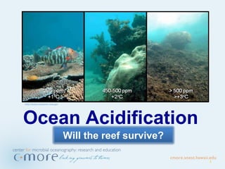 http://www.noaanews.noaa.gov Ocean Acidification Will the reef survive? 