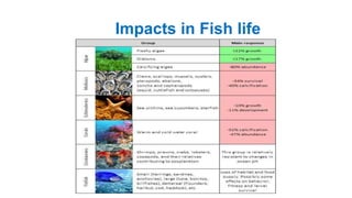 Impacts in Fish life
 