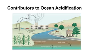 Contributors to Ocean Acidification
 