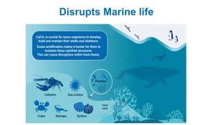 Disrupts Marine life
 