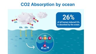 CO2 Absorption by ocean
 