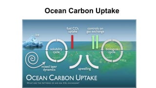 Ocean Carbon Uptake
 