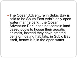  The Ocean Adventure in Subic Bay is
said to be South East Asia's only open
water marine park., the Ocean
Adventure Park does not contain land
based pools to house their aquatic
animals, instead they have created
pens or floating habitats, in Subic Bay
itself, hence it is in the open water.
 