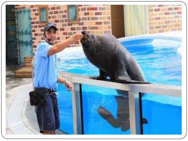 Ocean Adventure Subic Bay