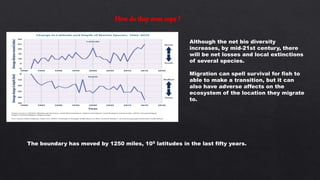 How do they even cope ?
Although the net bio diversity
increases, by mid-21st century, there
will be net losses and local extinctions
of several species.
Migration can spell survival for fish to
able to make a transition, but it can
also have adverse affects on the
ecosystem of the location they migrate
to.
The boundary has moved by 1250 miles, 100 latitudes in the last fifty years.
 