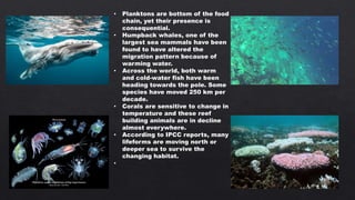 • Planktons are bottom of the food
chain, yet their presence is
consequential.
• Humpback whales, one of the
largest sea mammals have been
found to have altered the
migration pattern because of
warming water.
• Across the world, both warm
and cold-water fish have been
heading towards the pole. Some
species have moved 250 km per
decade.
• Corals are sensitive to change in
temperature and these reef
building animals are in decline
almost everywhere.
• According to IPCC reports, many
lifeforms are moving north or
deeper sea to survive the
changing habitat.
•
 