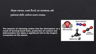 Abyss warms, coast flood, air moistens, salt
patterns shift, carbon sours oceans.
The impacts of releasing carbon into the atmosphere as a
result of burning fossil fuels, production of cement and
deforestation has taken a significant toll on the largest
ecosystem on the planet.
 