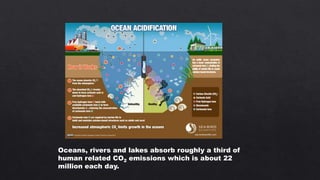 Oceans, rivers and lakes absorb roughly a third of
human related CO2 emissions which is about 22
million each day.
 
