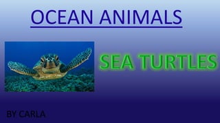 OCEAN ANIMALS
BY CARLA
 
