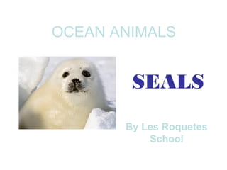 SEALS
OCEAN ANIMALS
By Les Roquetes
School
 