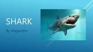 SHARK
By Alejandro
 