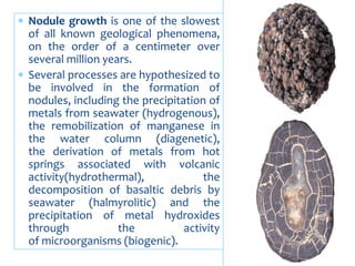  Nodule growth is one of the slowest
of all known geological phenomena,
on the order of a centimeter over
several million years.
 Several processes are hypothesized to
be involved in the formation of
nodules, including the precipitation of
metals from seawater (hydrogenous),
the remobilization of manganese in
the water column (diagenetic),
the derivation of metals from hot
springs associated with volcanic
activity(hydrothermal), the
decomposition of basaltic debris by
seawater (halmyrolitic) and the
precipitation of metal hydroxides
through the activity
of microorganisms (biogenic).
 