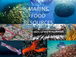 MARINE
FOOD
RESOURCES
 