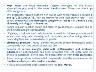  Kelp- Kelps are large seaweeds (algae) belonging to the brown
algae (Phaeophyceae) in the order Laminariales. There are about 30
different genera.
 The organisms require nutrient-rich water with temperatures between 6
and 14 °C (43 and 57 °F). They are known for their high growth rate — the
genera Macrocystis and Nereocystis can grow as fast as half a metre a day,
ultimately reaching 30 to 80 metres.
 Bongo kelp ash is rich in iodine and alkali. In great amount, kelp ash can be
used in soap and glass production.
 Alginate, a kelp-derived carbohydrate, is used to thicken products such
as ice cream, jelly, salad dressing, and toothpaste, as well as an ingredient in
exotic dog food and in manufactured goods.
 Biomedical products- Many benthic organisms contain biologically active
compounds that have potential practical use.
 Extracts of certain sponges yield anti –inflammatory and antibiotic
substance an anticoagulant has been extracted from red algae, and the
antibiotic substance , acrylic acid, has been extracted from other sea weeds.
 Some corals produce antimicrobial compounds , and the sea anemone. An
thopleura, which provides cardiac stimulant.
 A muscle relaxant has been isolated from the snail Murex.
 