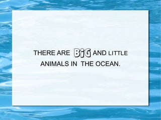 THERE ARE

BIG AND LITTLE

ANIMALS IN THE OCEAN.

 
