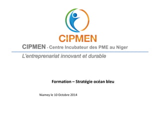 - Centre Incubateur des PME au Niger 
Formation – Stratégie océan bleu 
Niamey le 10 Octobre 2014 
 